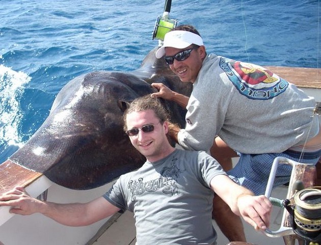 15/01 common stingray Cavalier & Blue Marlin Sport Fishing Gran Canaria
