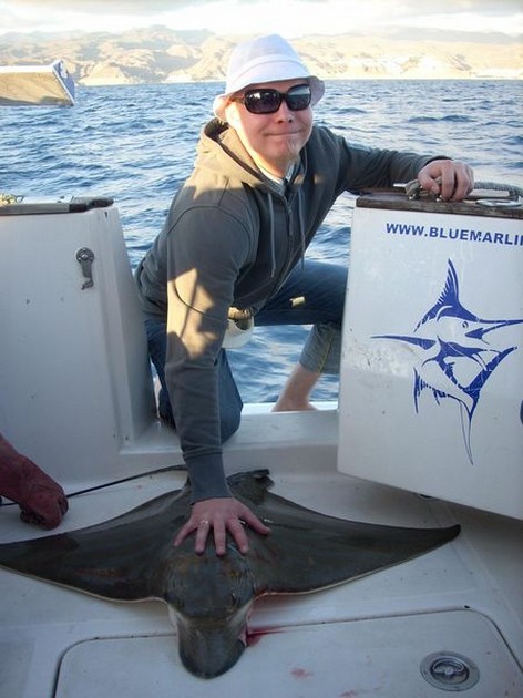 duckbill ray Cavalier & Blue Marlin Sport Fishing Gran Canaria