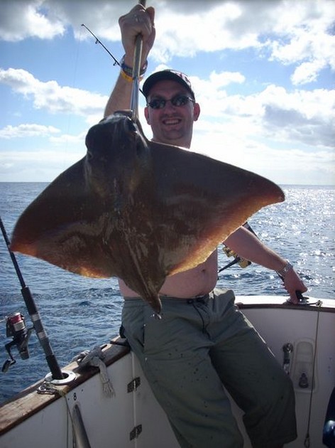 cownose ray Cavalier & Blue Marlin Sport Fishing Gran Canaria