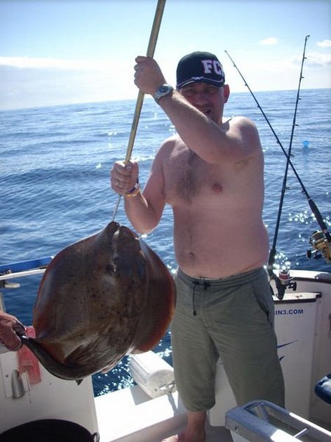 roughtail stingray Cavalier & Blue Marlin Sport Fishing Gran Canaria