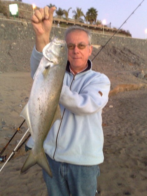 kingfish Cavalier & Blue Marlin Sport Fishing Gran Canaria