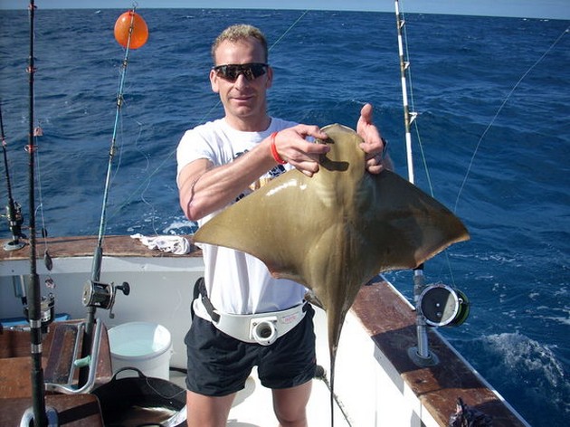 eagle ray Cavalier & Blue Marlin Sport Fishing Gran Canaria