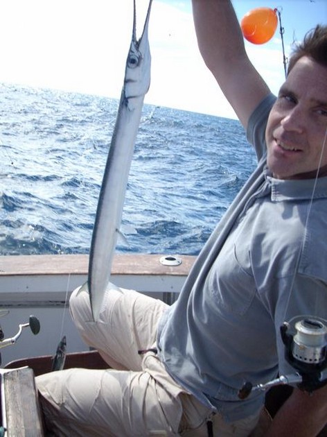 gar fish Cavalier & Blue Marlin Sport Fishing Gran Canaria