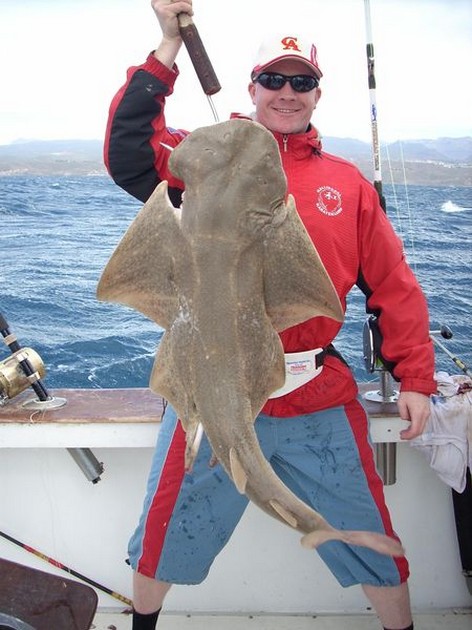 angelshark Cavalier & Blue Marlin Sport Fishing Gran Canaria