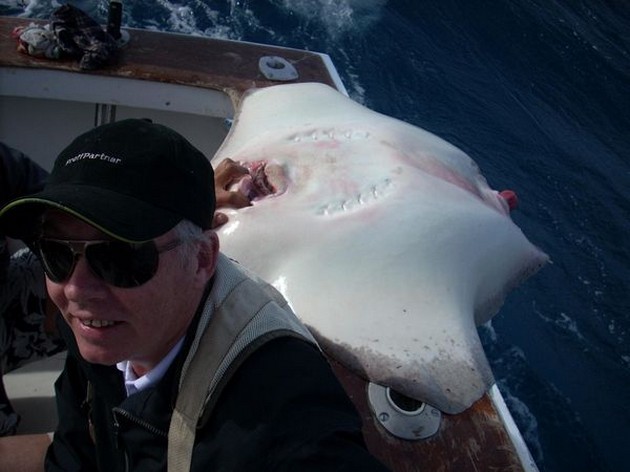 common stingray Cavalier & Blue Marlin Sport Fishing Gran Canaria