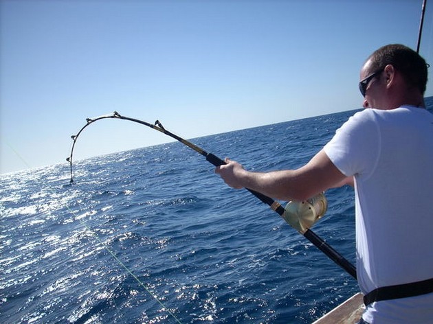 Puerto Rico 17.00 uur<br>AVONDVISSEN<br><br>Gisterenavond hadden - Cavalier & Blue Marlin Sport Fishing Gran Canaria