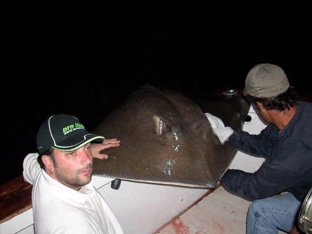 common stingray Cavalier & Blue Marlin Sport Fishing Gran Canaria