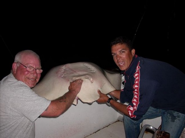 common stingray Cavalier & Blue Marlin Sport Fishing Gran Canaria