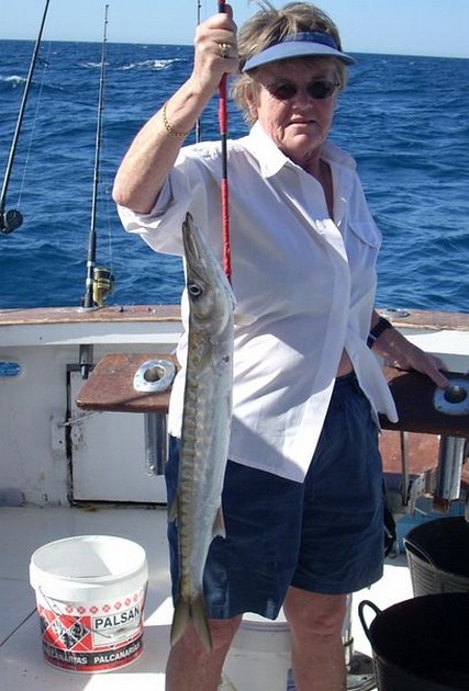 baracuda Cavalier & Blue Marlin Sport Fishing Gran Canaria