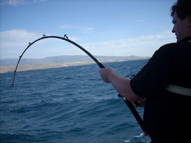 Puerto Rico - 20.45 o`clock<br>BIG RAYS<br> <br>Fish in troubled - Cavalier & Blue Marlin Sport Fishing Gran Canaria