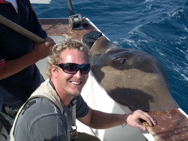 common stingray Cavalier & Blue Marlin Sport Fishing Gran Canaria