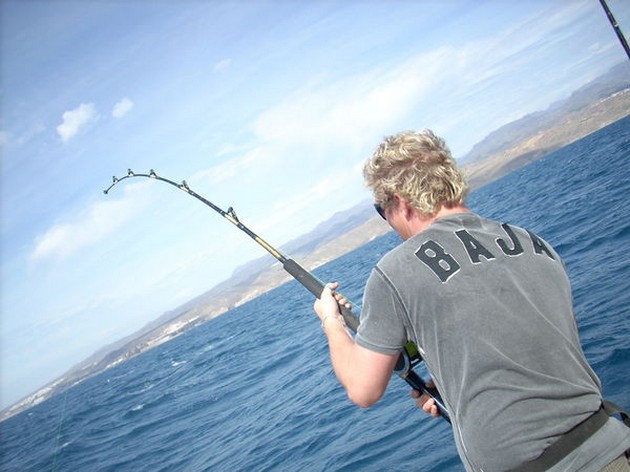 Puerto Rico 17.00 Uhr HELLES WASSER Gestern haben wir - Cavalier & Blue Marlin Sport Fishing Gran Canaria