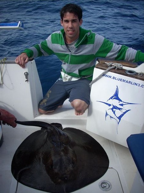 roughtail stingray Cavalier & Blue Marlin Sport Fishing Gran Canaria