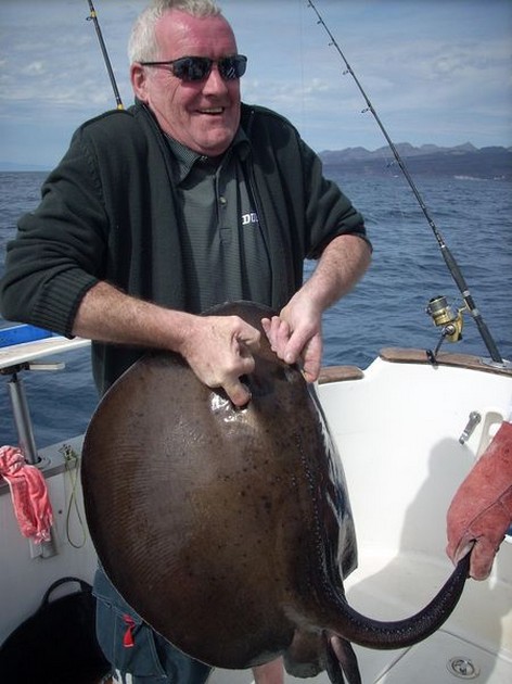 roughtail stingray Cavalier & Blue Marlin Sport Fishing Gran Canaria