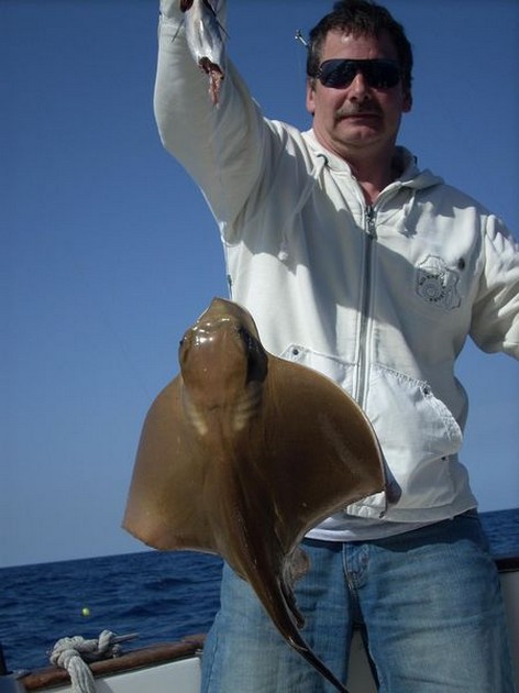 eagle ray Cavalier & Blue Marlin Sport Fishing Gran Canaria