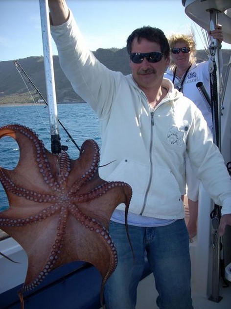 octopussy Cavalier & Blue Marlin Sport Fishing Gran Canaria