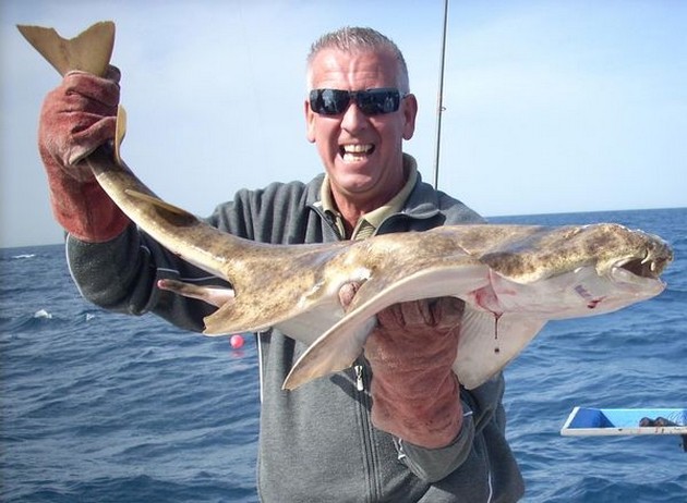 28/01 angelshark Cavalier & Blue Marlin Sport Fishing Gran Canaria