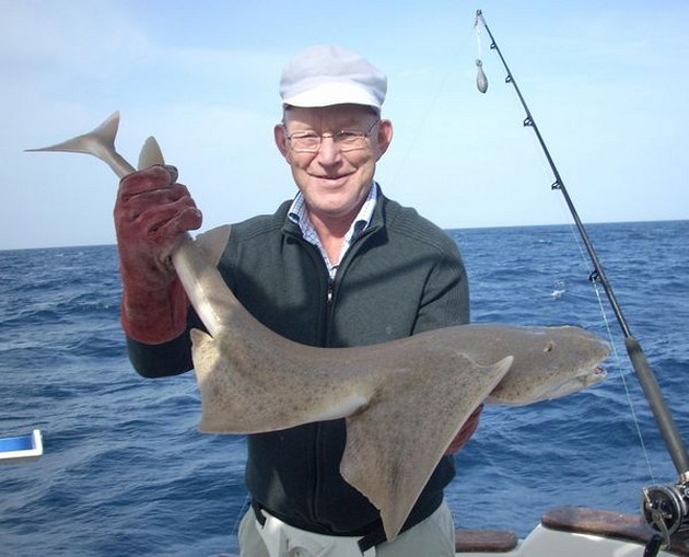 angelshark Cavalier & Blue Marlin Sport Fishing Gran Canaria