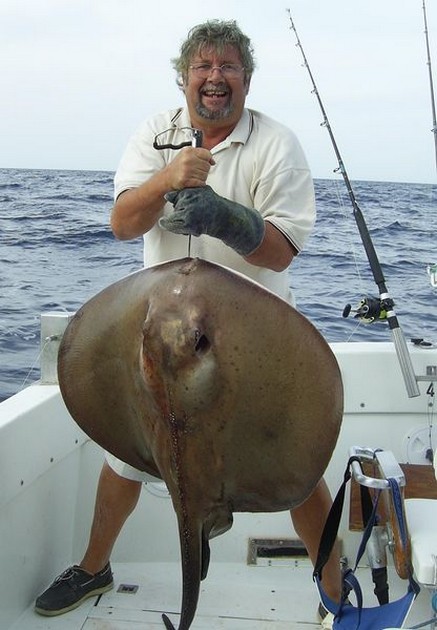 roughtail stingray Cavalier & Blue Marlin Sport Fishing Gran Canaria