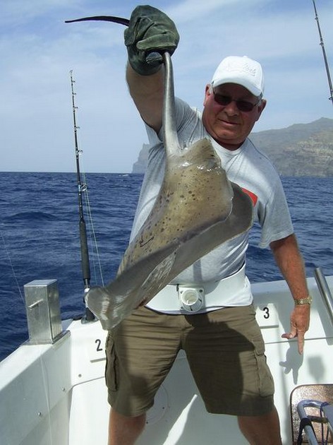 roughtail stingray Cavalier & Blue Marlin Sport Fishing Gran Canaria