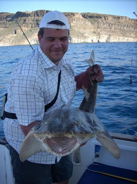 30/01 angelshark Cavalier & Blue Marlin Sport Fishing Gran Canaria