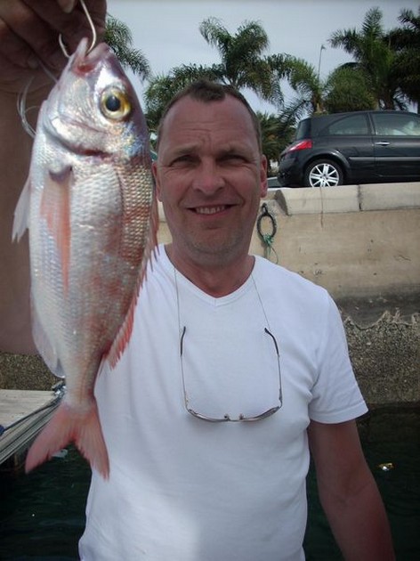 Pandora red Cavalier & Blue Marlin Sport Fishing Gran Canaria