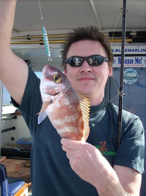 red banded seabream Cavalier & Blue Marlin Sport Fishing Gran Canaria