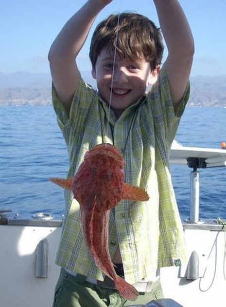 01/02 scorpion fish Cavalier & Blue Marlin Sport Fishing Gran Canaria
