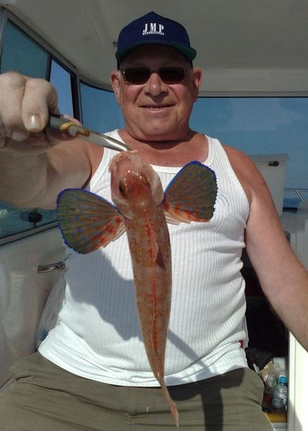 streaked  gurnard Cavalier & Blue Marlin Sport Fishing Gran Canaria