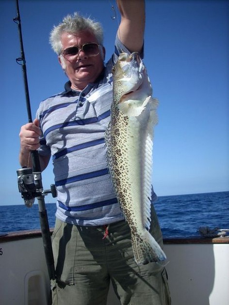 steaked weever Cavalier & Blue Marlin Sport Fishing Gran Canaria