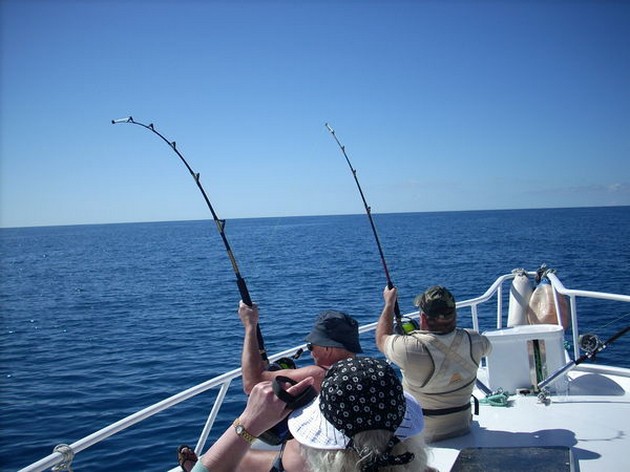 Puerto Rico 19.00 SUNNY & NO WIND Med en temperatur Cavalier & Blue Marlin Sport Fishing Gran Canaria