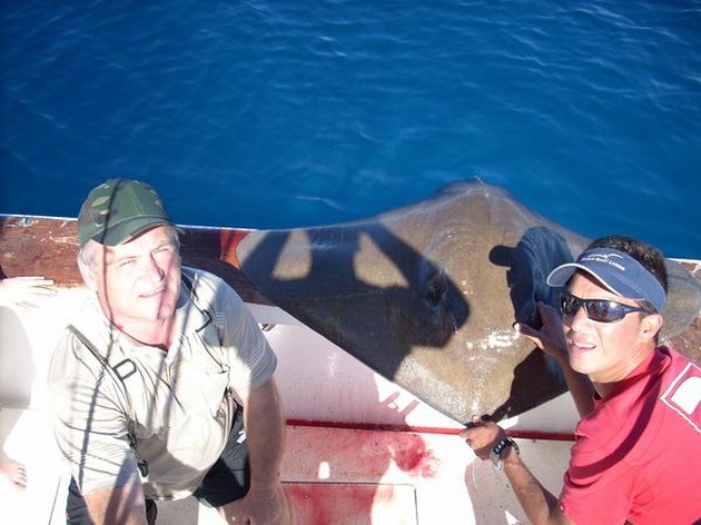 common stingray Cavalier & Blue Marlin Sport Fishing Gran Canaria