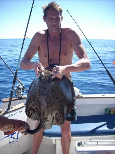 roughtail stingray Cavalier & Blue Marlin Sport Fishing Gran Canaria