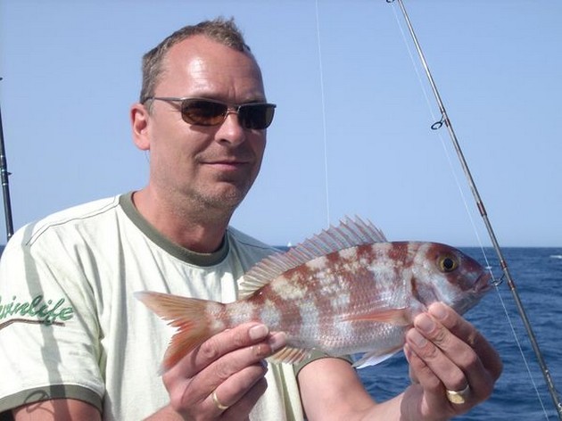 Puerto Rico 21.30. LJUSTACKEL Idag hade vi det - Cavalier & Blue Marlin Sport Fishing Gran Canaria