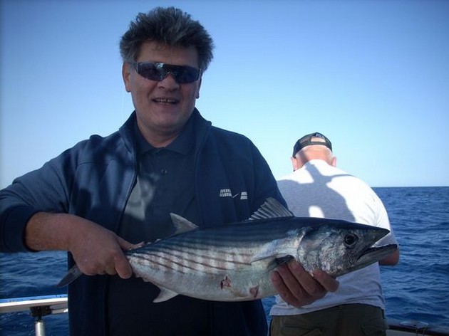 atlantic bonito Cavalier & Blue Marlin Sport Fishing Gran Canaria