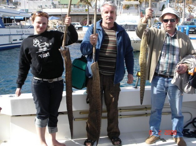 08/02 tiger moray Cavalier & Blue Marlin Sport Fishing Gran Canaria