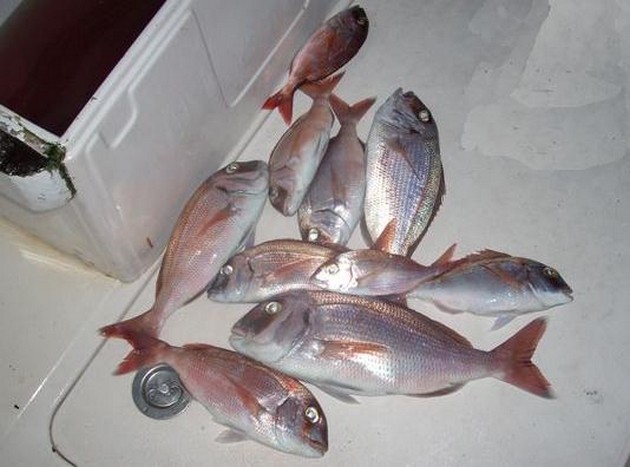 Puerto Rico kl 23.00 RAINY Idag hade vi vår första - Cavalier & Blue Marlin Sport Fishing Gran Canaria