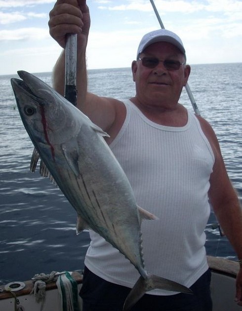 north atlantic bonito Cavalier & Blue Marlin Sport Fishing Gran Canaria