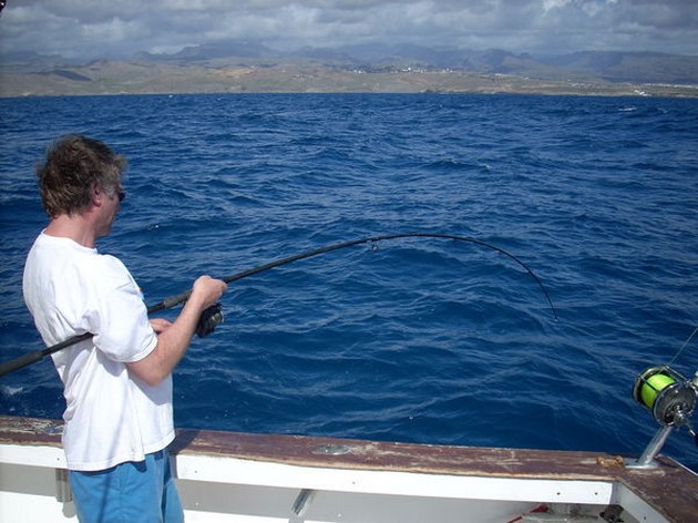 Puerto Rico 17.30 uur<br>ROGGEN<br><br>De vrij harde wind hield - Cavalier & Blue Marlin Sport Fishing Gran Canaria