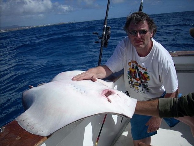 14/02 common stingray Cavalier & Blue Marlin Sport Fishing Gran Canaria