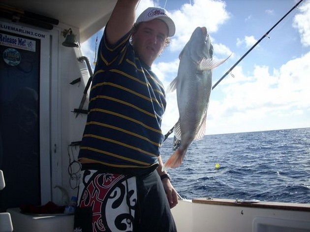Puerto Rico 20.30 horas BONITA RECOGIDA Hoy tuvimos - Cavalier & Blue Marlin Sport Fishing Gran Canaria