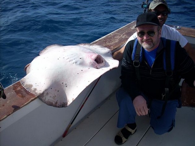 roughtail stingray Cavalier & Blue Marlin Sport Fishing Gran Canaria