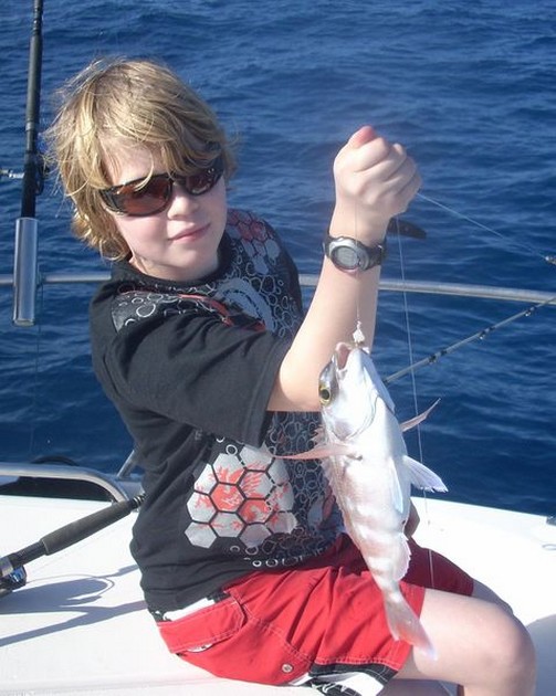 seabream Cavalier & Blue Marlin Sport Fishing Gran Canaria