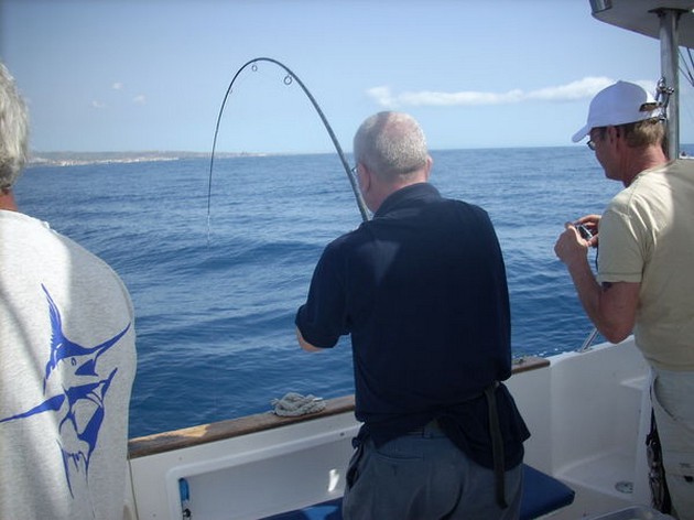 Puerto Rico 18.45 uur<br>BARRACUDA`S<br><br>Onze Foto van de - Cavalier & Blue Marlin Sport Fishing Gran Canaria