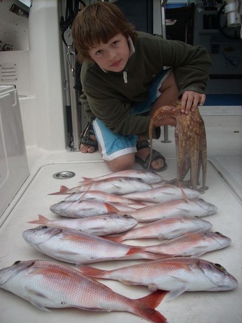 20/02 red snappers Cavalier & Blue Marlin Sport Fishing Gran Canaria