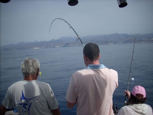 Puerto Rico klockan 19.15 OCH IGEN I morse Cavalier & Blue Marlin Sport Fishing Gran Canaria