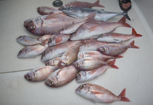 Puerto Rico 21.00 Uhr REGEN Fünf norwegische Angler - Cavalier & Blue Marlin Sport Fishing Gran Canaria