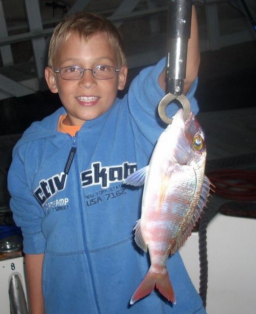 red banded seabream Cavalier & Blue Marlin Sport Fishing Gran Canaria