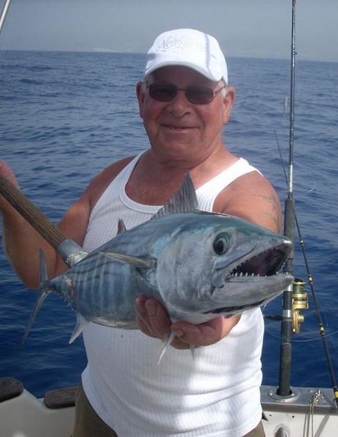 29/02 atlantic bonito Cavalier & Blue Marlin Sport Fishing Gran Canaria