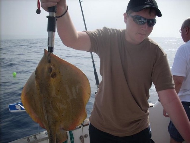 common stingray Cavalier & Blue Marlin Sport Fishing Gran Canaria